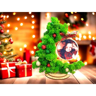 Елха със скандинавски мъх и снимка