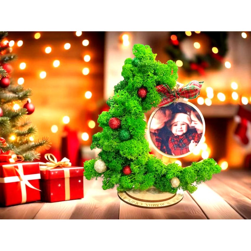 Елха със скандинавски мъх и снимка