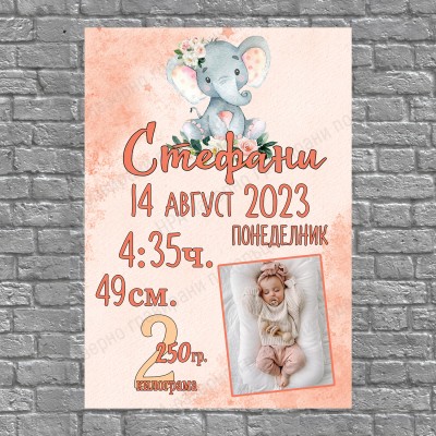 Постер бебешка визитка момиче/момче със снимка